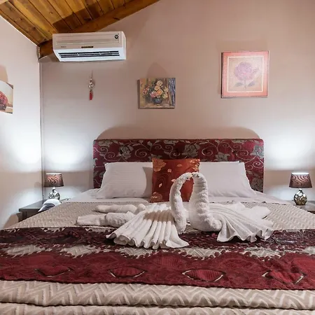 Holiday home Mary Tsilivi (Zakynthos)